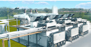 Cogeneration Plant