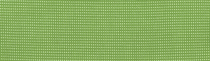 Donatello Lime
