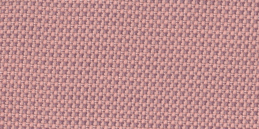 Michelangelo coral