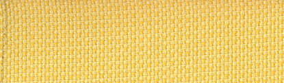 Michelangelo Lemon
