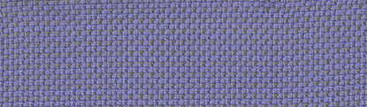 Michelangelo Violet