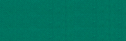 T6008/300 Forest Green