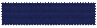 T75 Navy